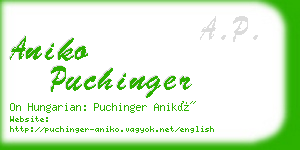 aniko puchinger business card
